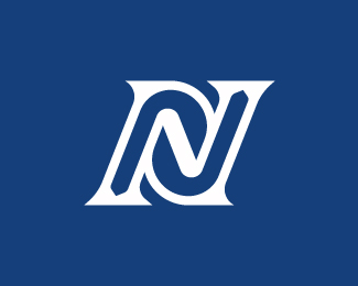 Stylish Letter N Logo