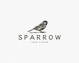 sparrow