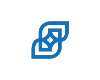 Letter S Star Logo