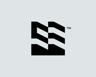 SE Logo Concept