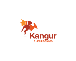 Kangaroo Electronics