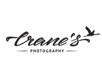 Crane's Photography