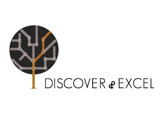 Discover and Excel