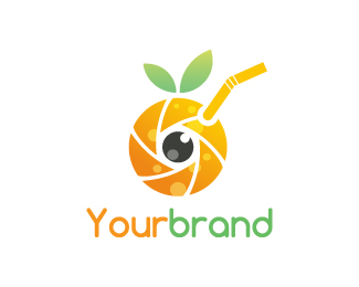 Cute Orange Photography Logo - for sale $500