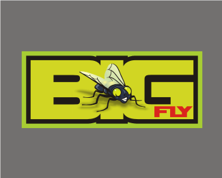 Big Fly v2