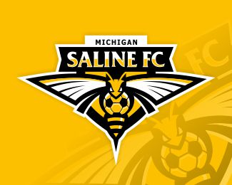 Saline Football Club