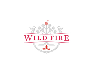 Wild Fire juice rebranding