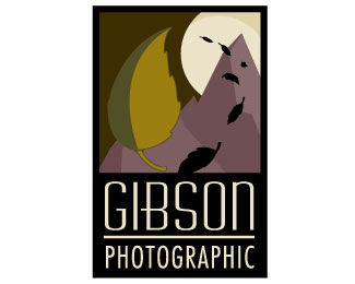 Gibson Photographic