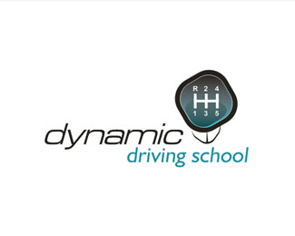 Dynamic Driving school
