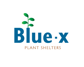 Blue-X Concept