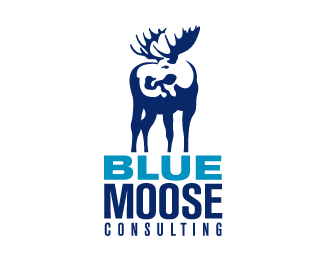Blue Moose Consulting