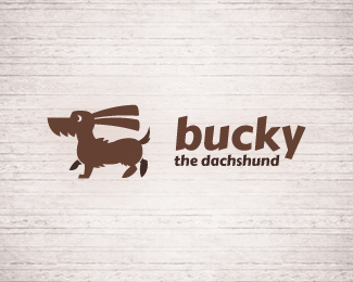 Bucky the dachshund