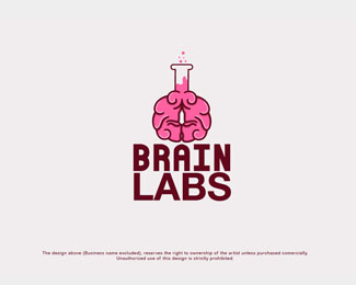 Brain Labs