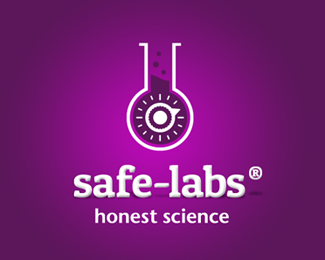 Safe Labs WIP