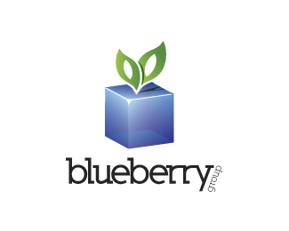 Blueberry Group proposal
