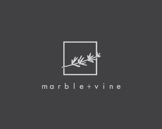 marble+vine logo design