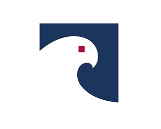 Spindrift Insights Solutions