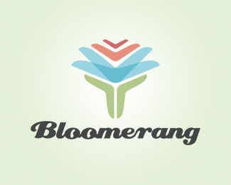 Bloomerang