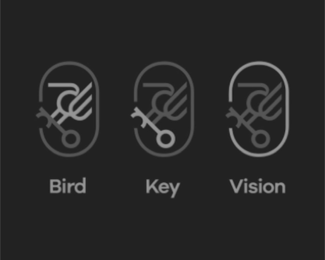 Bird key logo design for purchase