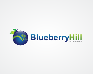 Blueberry Hill Studios