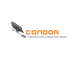 Condor Construction Consulting Group