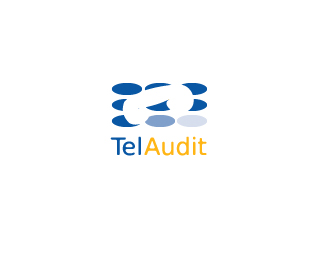 Tel Audit