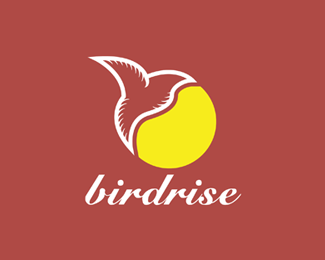 BirdRise