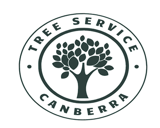 tree removal canberra