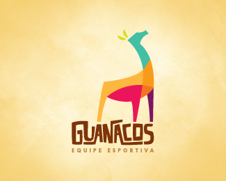 Guanacos