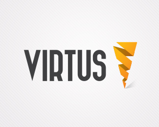 Virtus Consulting Pvt Ltd