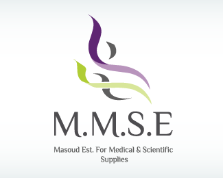 MMSE Logo