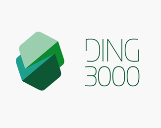 DING 3000