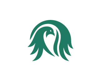 Letter N Peacock Logo