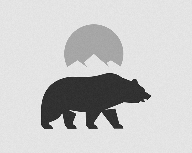 Bear Project