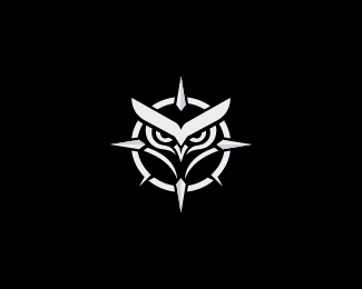 Compass Owl Logo