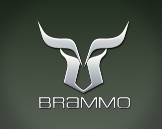 Brammo Powercycles proposal 01