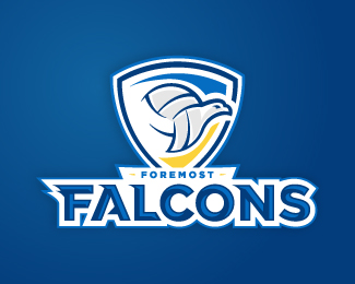 Foremost Falcon's Volleyball