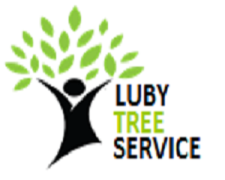 Mckinney Tree Trimming service - LubyTreeService
