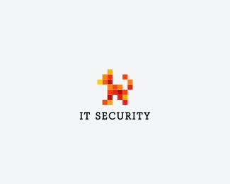 IT security