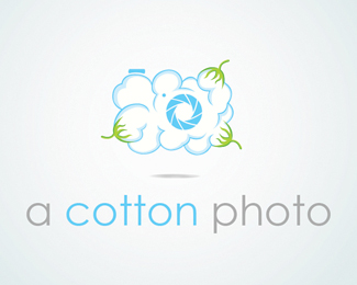 a cotton photo