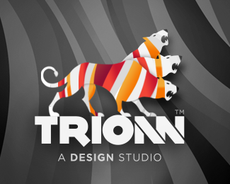 Trionn Design