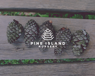 pine island