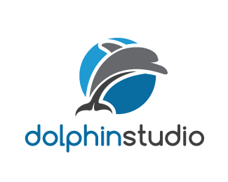 dolphin studio