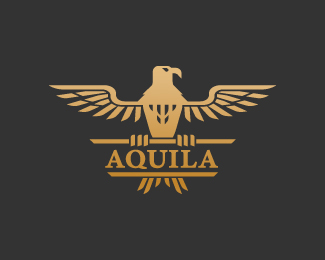 Logopond - Logo, Brand & Identity Inspiration (Aquila)