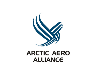 arctic aero