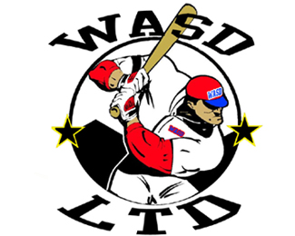 wasd baseball club