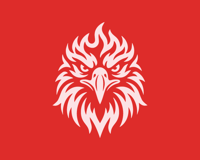 modern minimal fire eagle logo