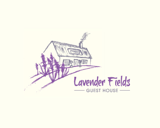 Lavender Field Guest House