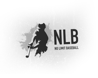 No Limit Baseball