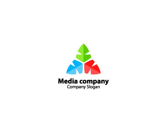 Media company